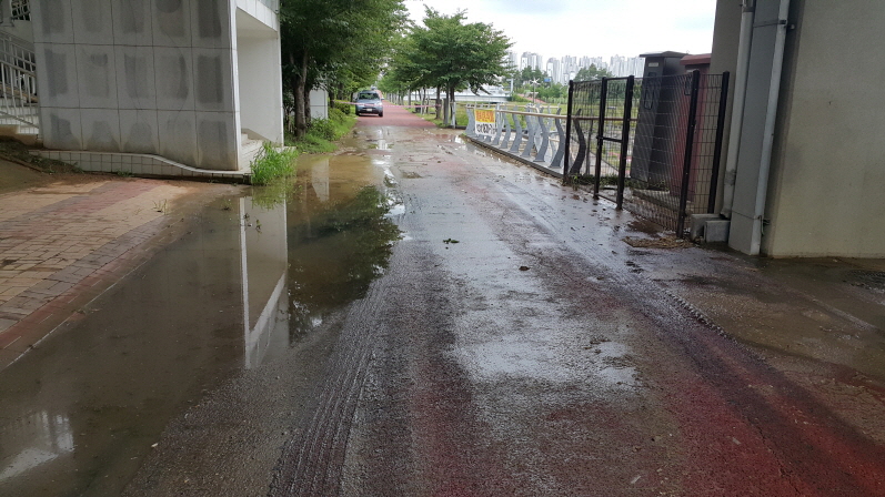 3698599459_35wJ1jYh_496fb297ea726d84209359eed4d1ad0f5f83f2ff.jpg 이미지크게보기