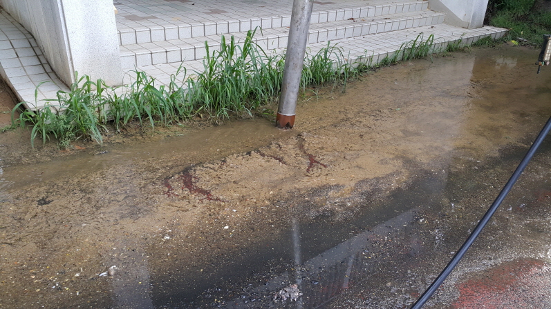 3698599459_4Co2rSK1_c7235eda0c337dd2d98061c1ce23f86e3edd533c.jpg 이미지크게보기