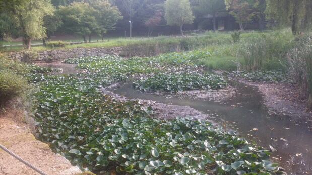 3698599459_NKjYhM5W_bb8dfcd40fa7f53e23d82fdea626ecfccddbe59a.jpg 이미지크게보기