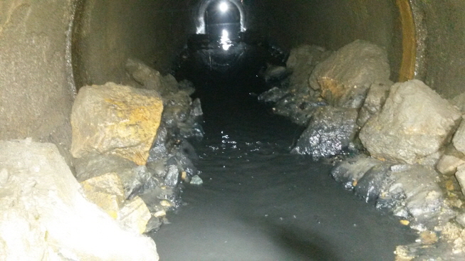 3698599459_SUdQkH4l_8149317e99cba22c2dd3c092f23fbbc9181bc8c0.jpg 이미지크게보기