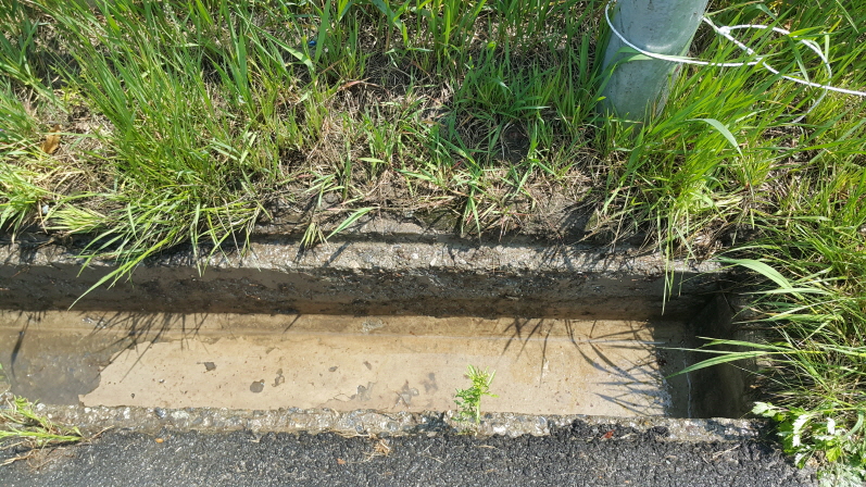 3698599459_bEHk8hMz_84488c60a1fd0092c75f809cff90f24e61227577.jpg 이미지크게보기
